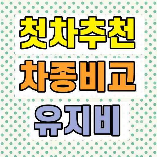 첫차 중고차 3종 비교