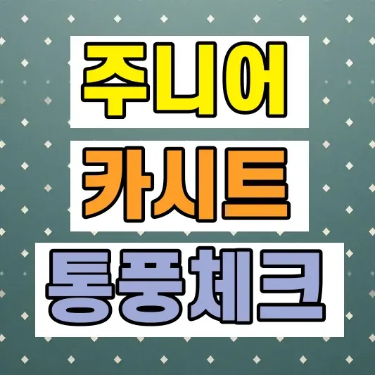주니어 카시트 추천