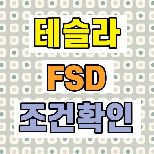 테슬라 FSD 한국 도입