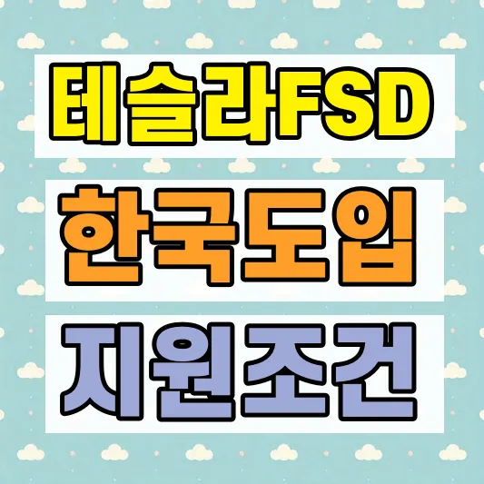 테슬라 FSD 한국 사용조건