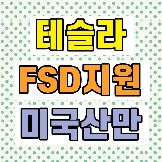 테슬라 모델3 Y FSD