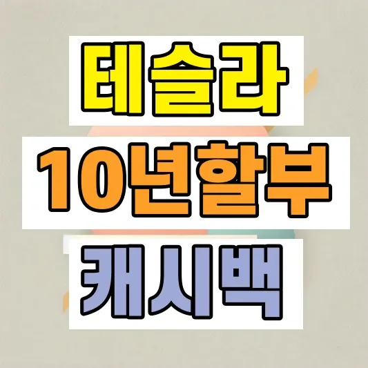 테슬라 모델Y 삼성카드 캐시백