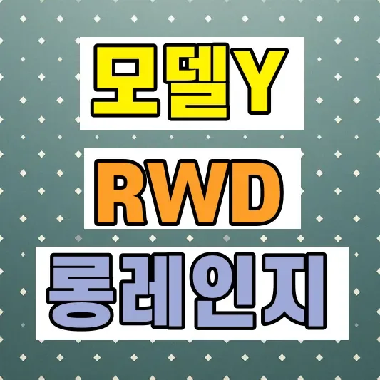 테슬라 모델Y RWD 롱레인지 차이
