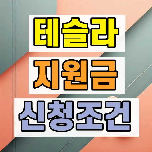 테슬라 보조금 소진 대응방법